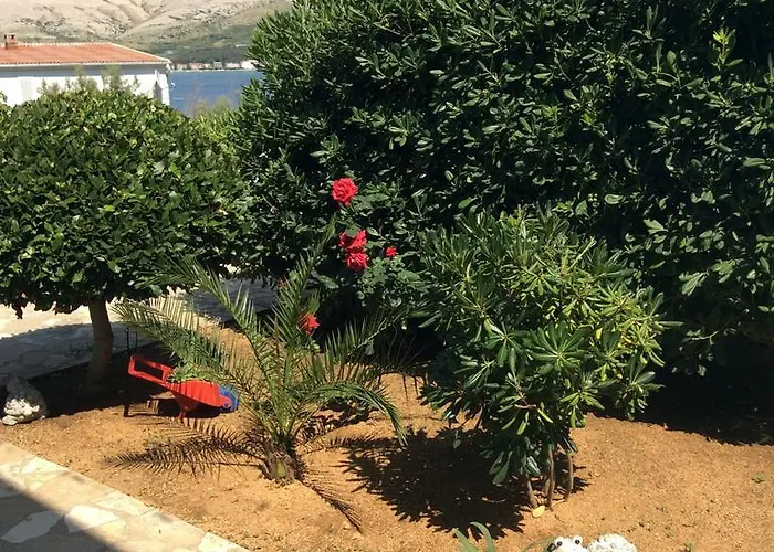 Island Of * باغ